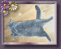 77