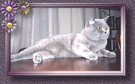 97