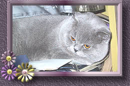 106