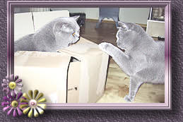 116