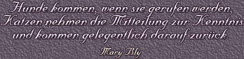 Autor: Mary Bly