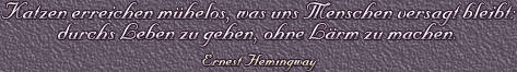 Autor: Ernest Hemingway