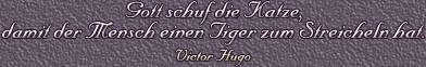 Autor: Vitctor Hugo