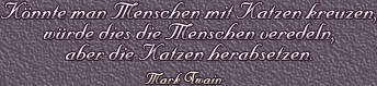 Autor: Mark Twain